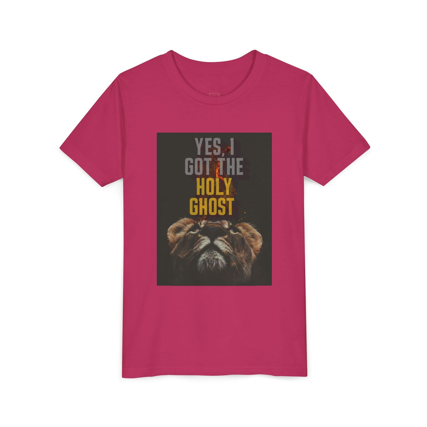 I Got The Holy Ghost- Tee ( UniSex Youth)