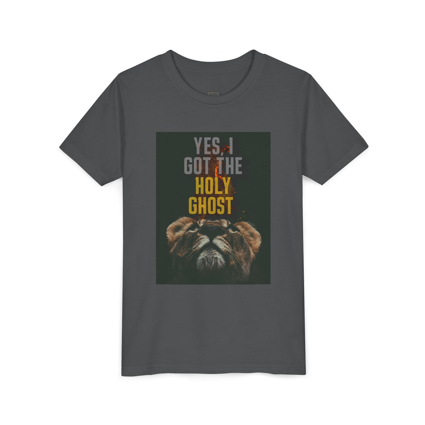 I Got The Holy Ghost- Tee ( UniSex Youth)