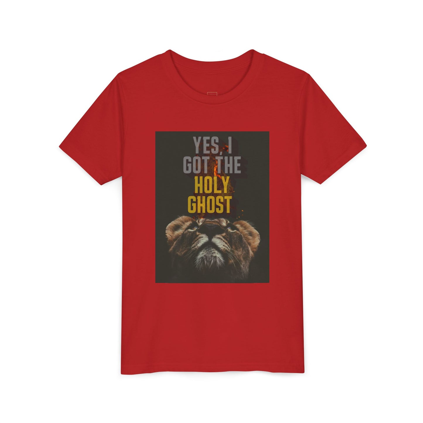 I Got The Holy Ghost- Tee ( UniSex Youth)