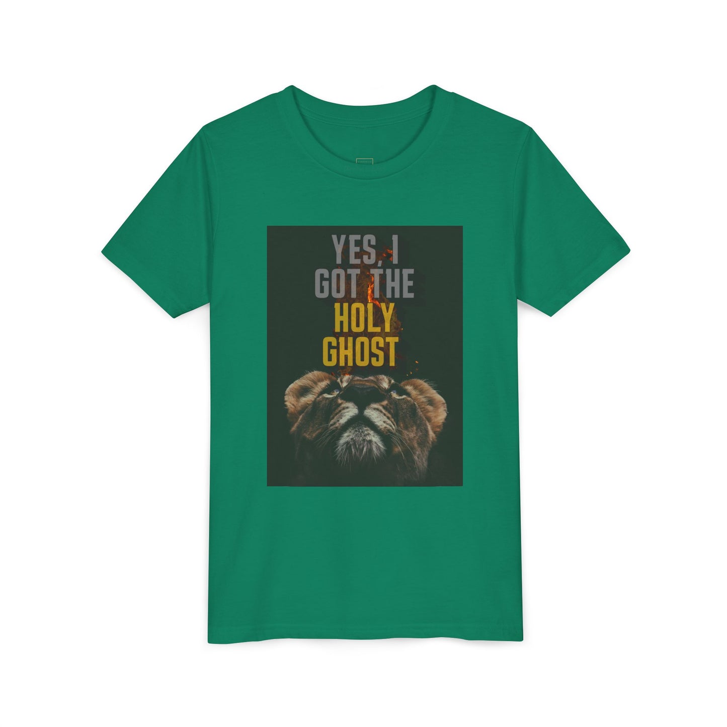 I Got The Holy Ghost- Tee ( UniSex Youth)